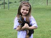 Children and Yorkies